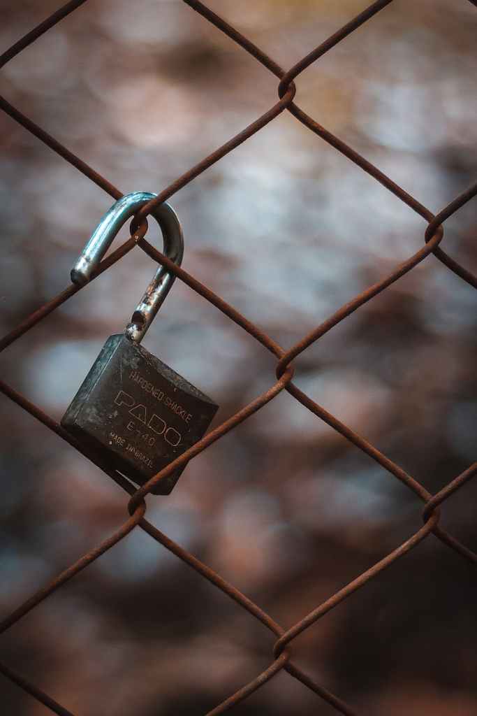 Close-up of an open padlock hanging on a rusty chain-link fence.